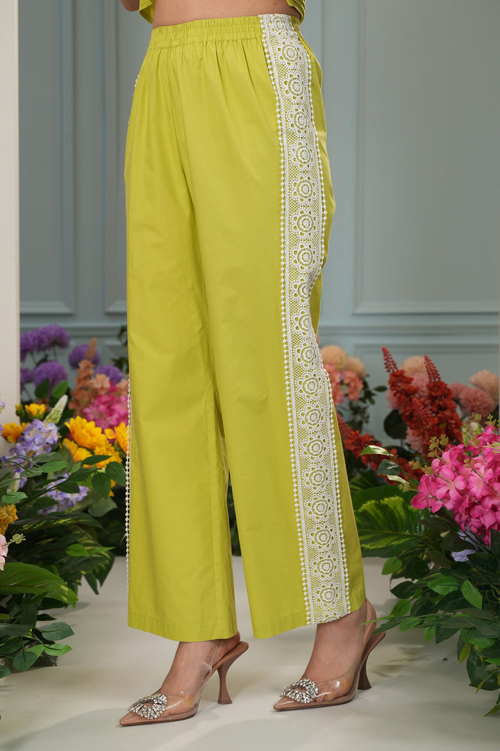 All In Pants- Parrot