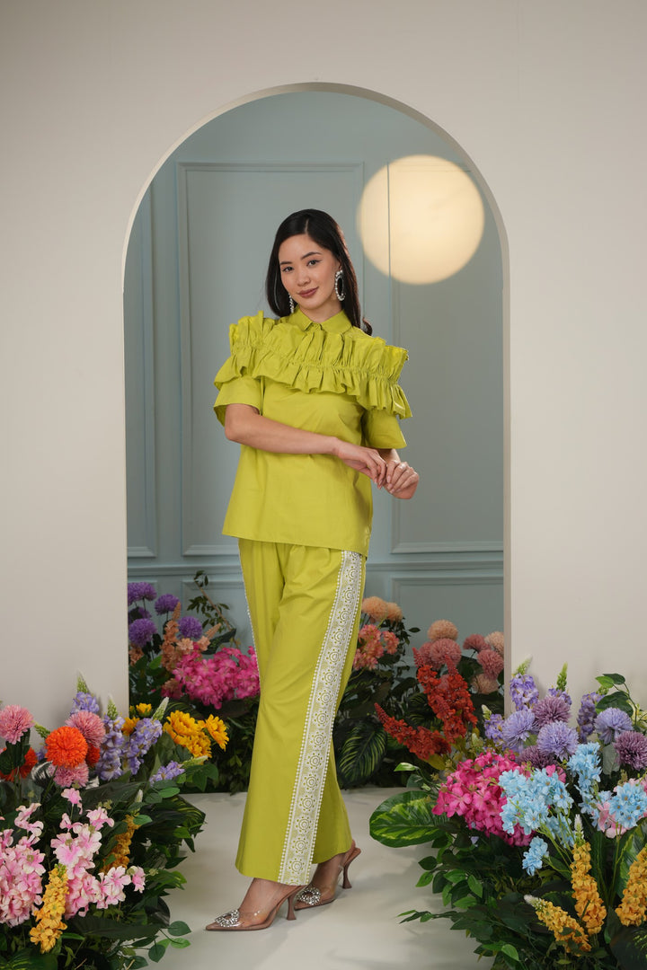 All In Pants- Parrot