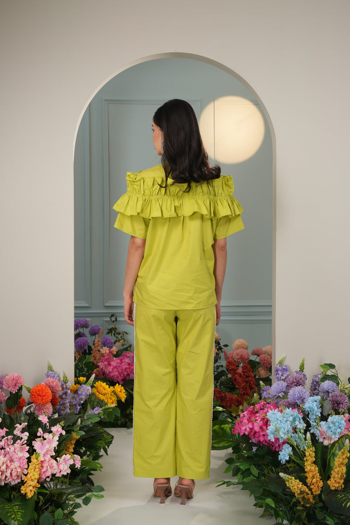 All In Pants- Parrot