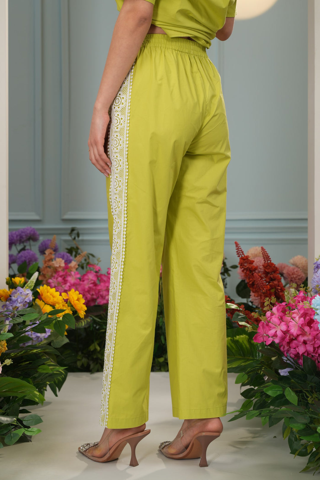 All In Pants- Parrot